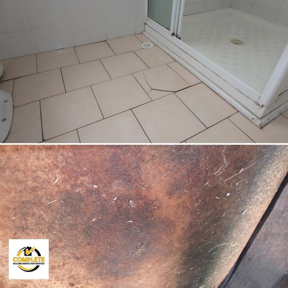 Damaged Flooring — Complete Building Inspections  in Kembla Grange NSW