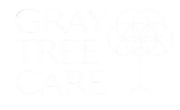 The letter r is in a green square on a white background.