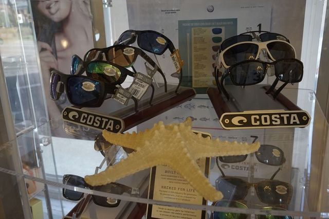 Costa sunglasses displayed on stands in a glass case, with a starfish in the foreground.