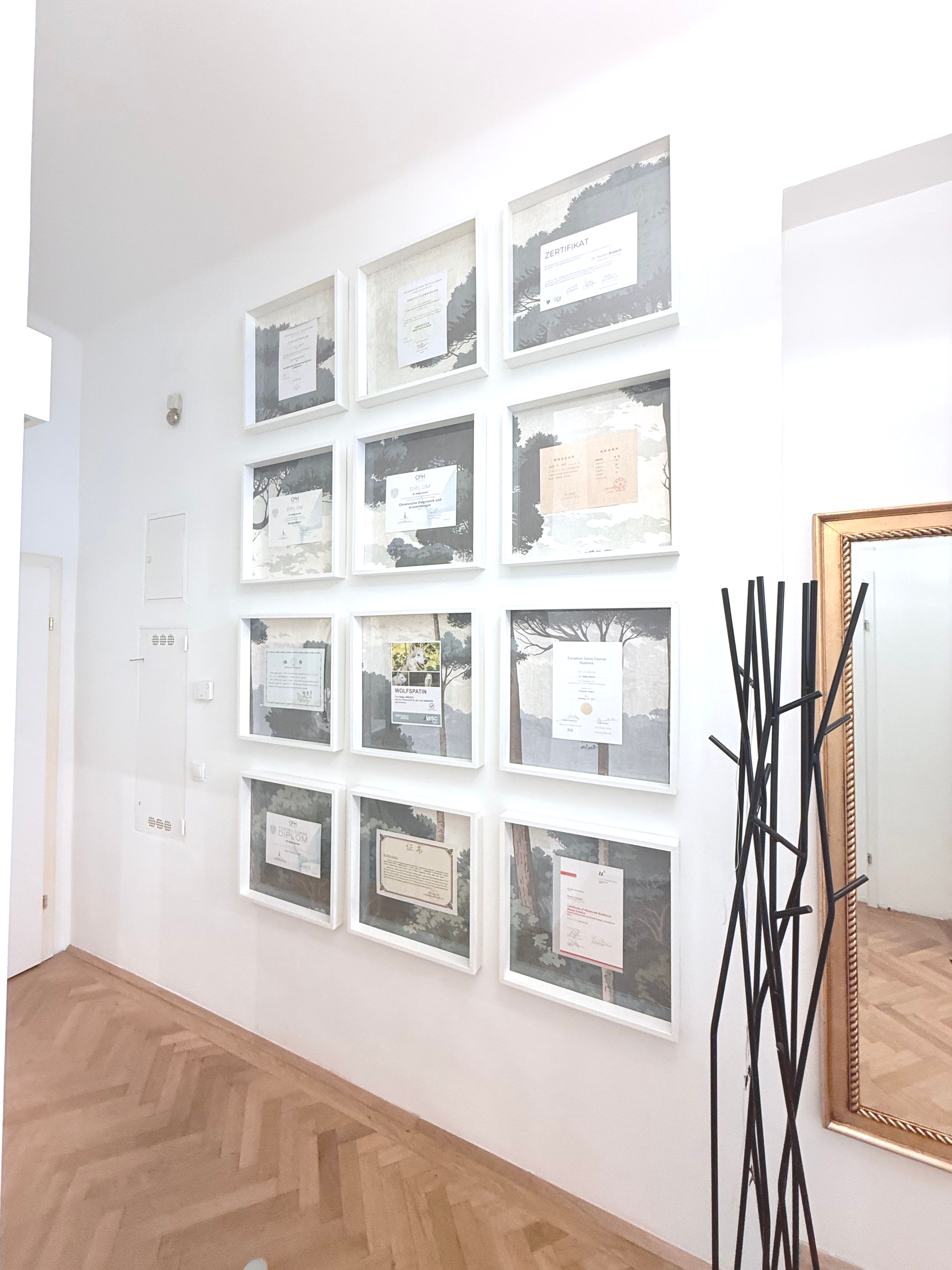 Spezielle Therapien bei Überlastung des Bewegungsapparats - OA Dr. Nadja Jiresch - Urban Spine - 1010 Wien