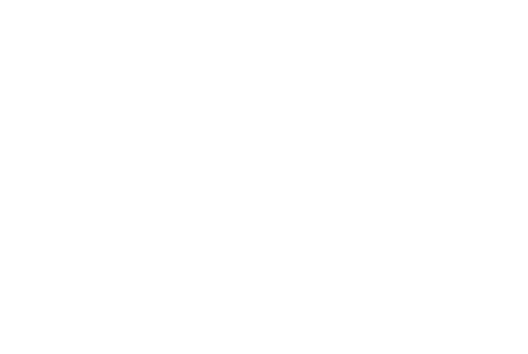 Un primo piano di un piccolo gattino marrone e bianco con occhi azzurri 