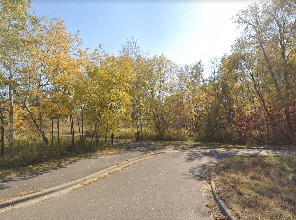 A road going through a forest with trees on both sides