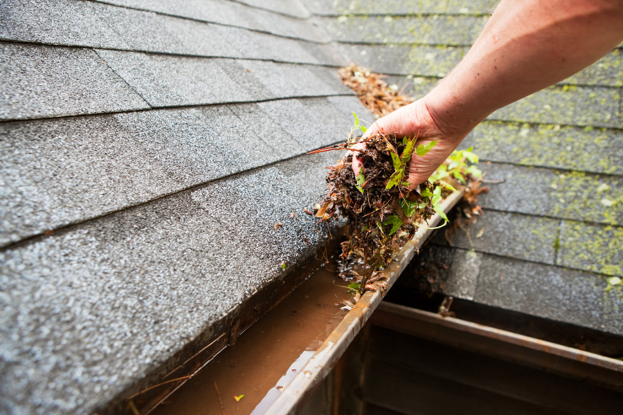 Professional removing debris from home gutters