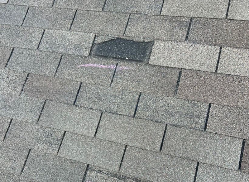 damaged shingles