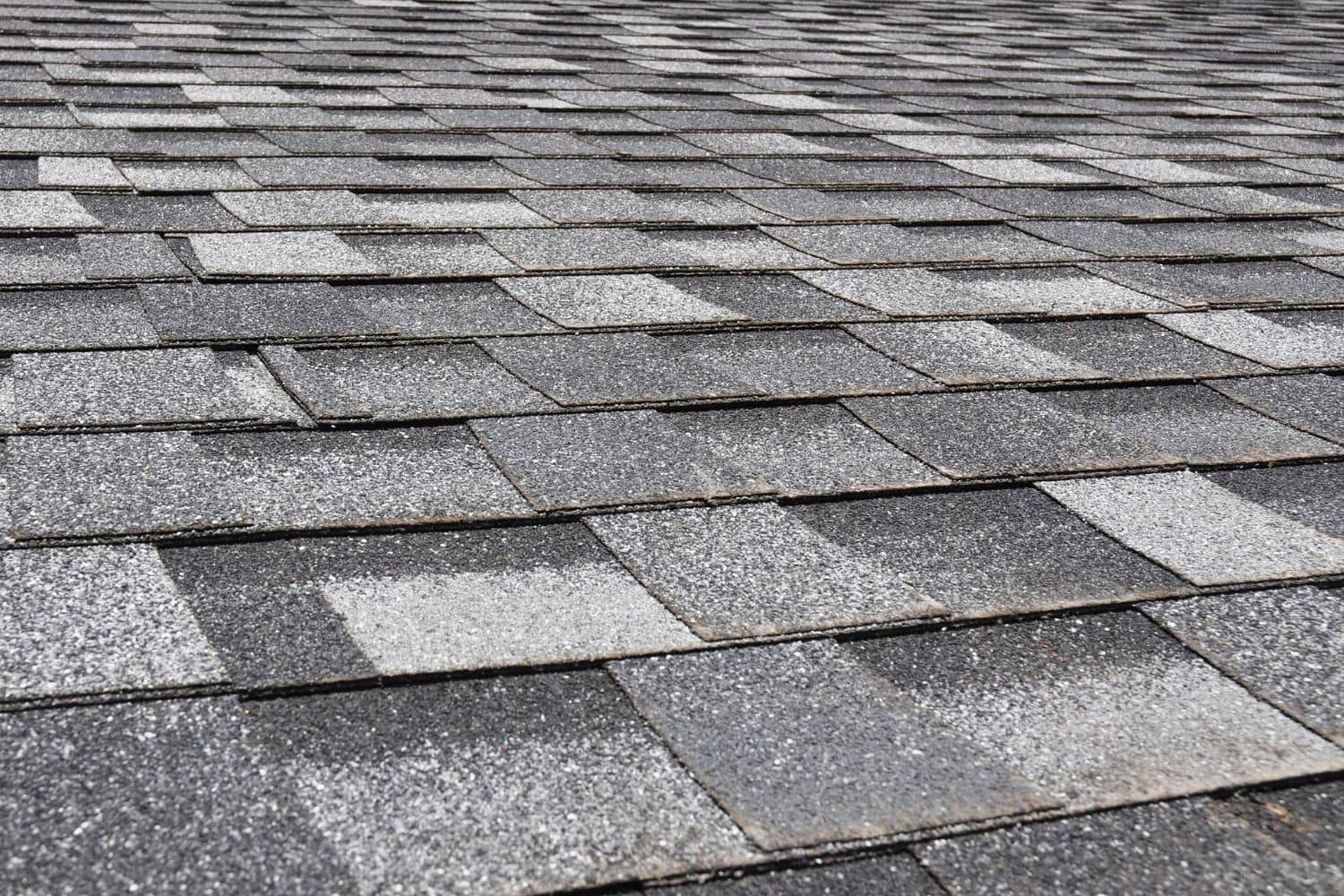 roof restoration