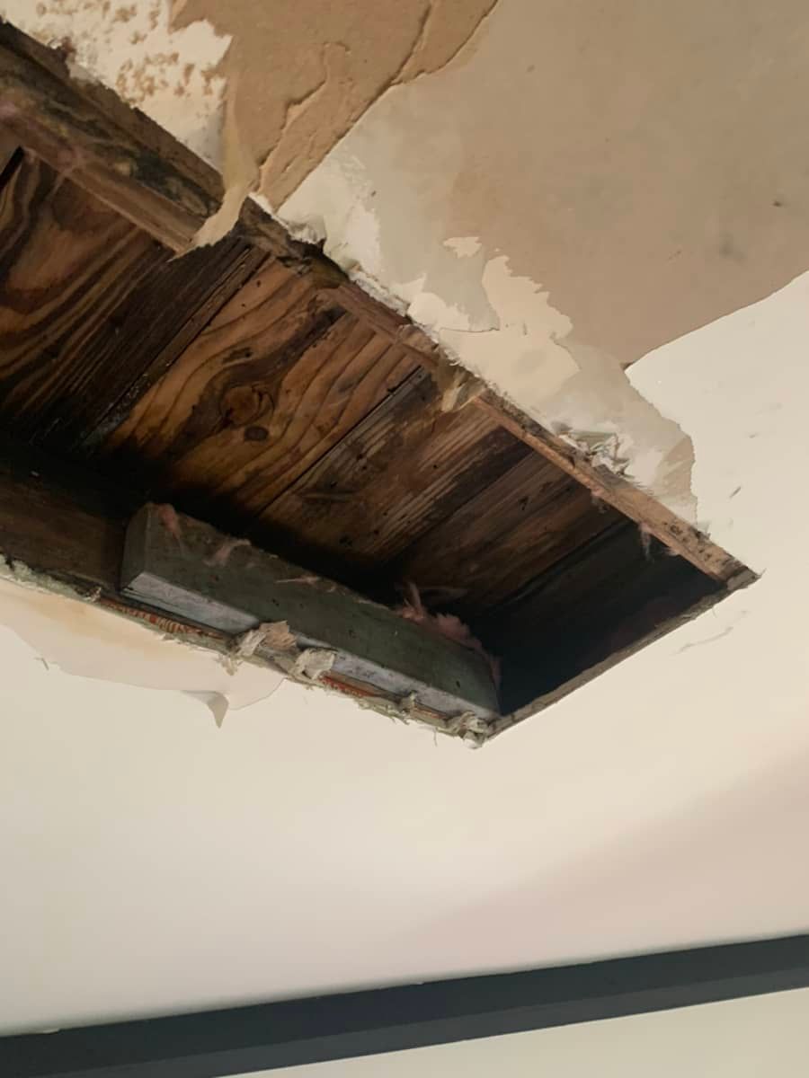 damaged roof in st. louis home
