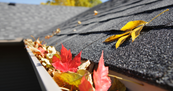 cleaning gutters for your home