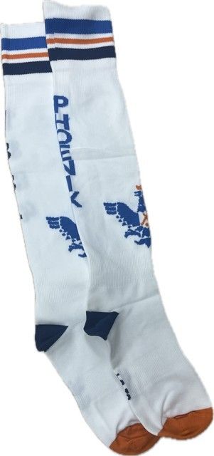 Phoenix lustrum kousen
