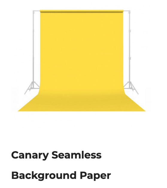 Seamless backdrop paper in New Orleans