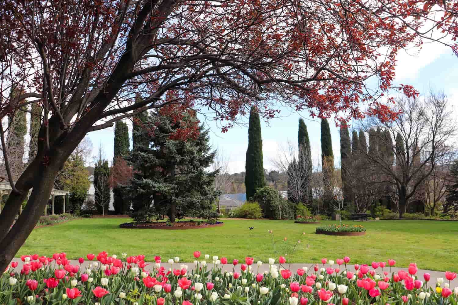 A Park Filled With Lots of Flowers and Trees — Jim Wall Automotive in Bowral, NSW