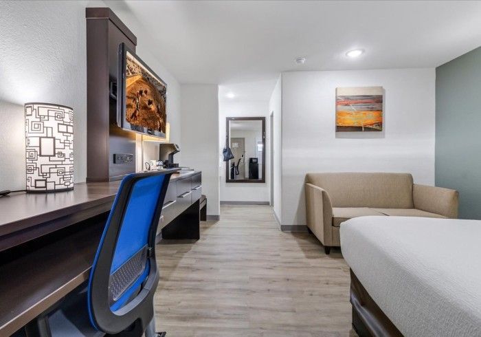 A bedroom with a bed, two gray pillows, one patterned pillow, two round wall art pieces, and a lamp on a small side table.