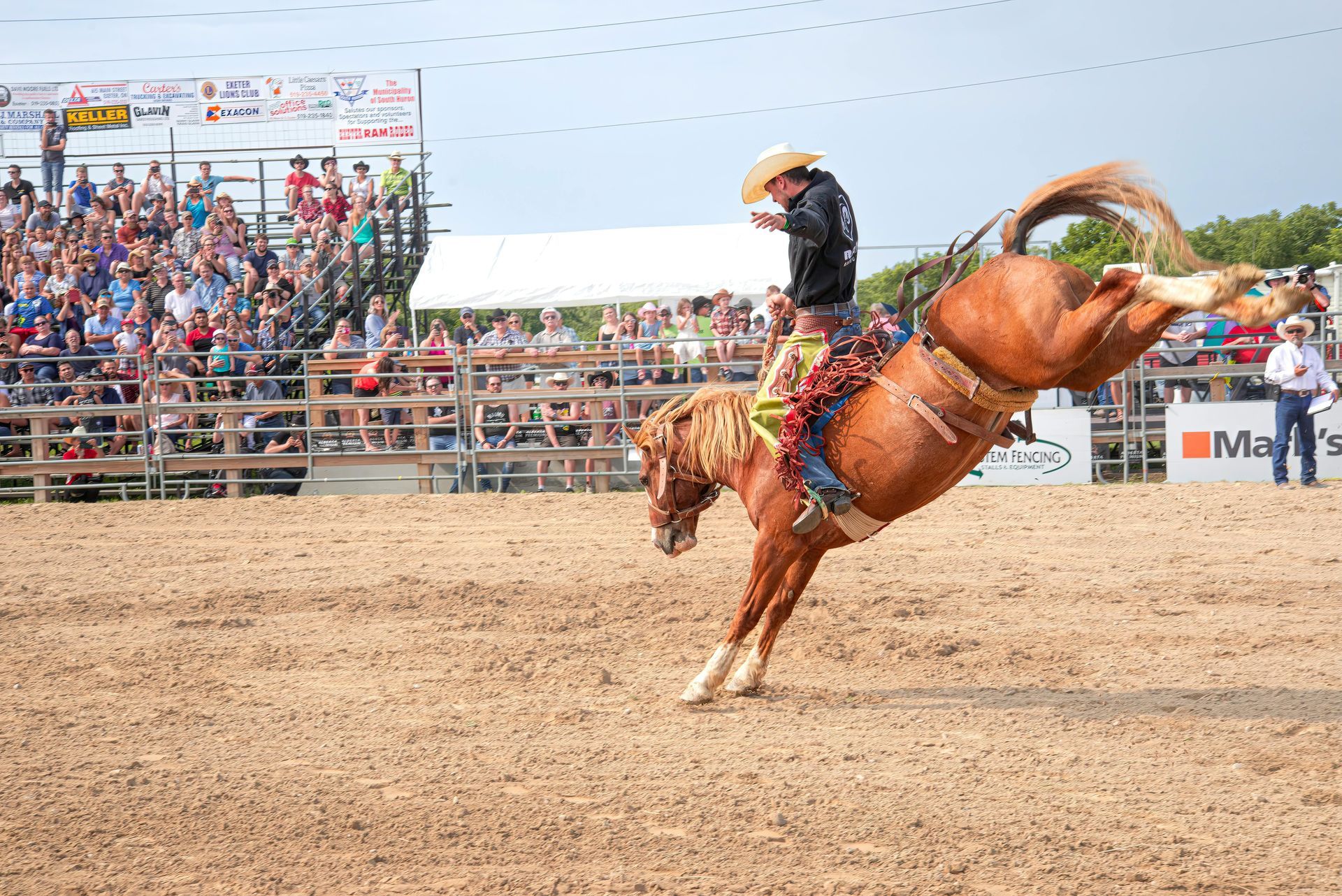 Woman viewing large charcoal portraits in a gallery; dim lighting.