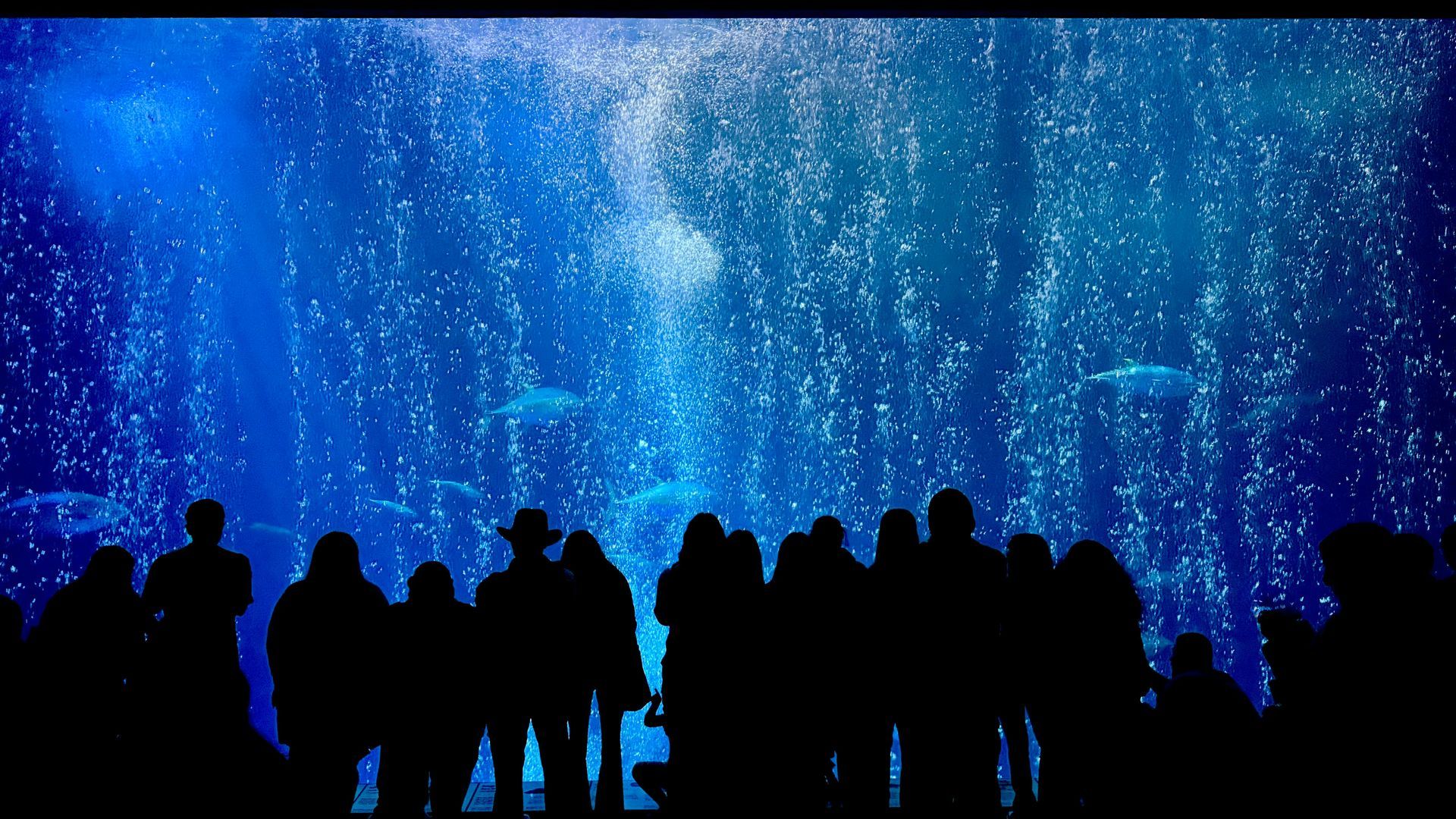 Snowboarder in gray hoodie and goggles, smiles while fastening snowboard boot in snowy mountain setting.