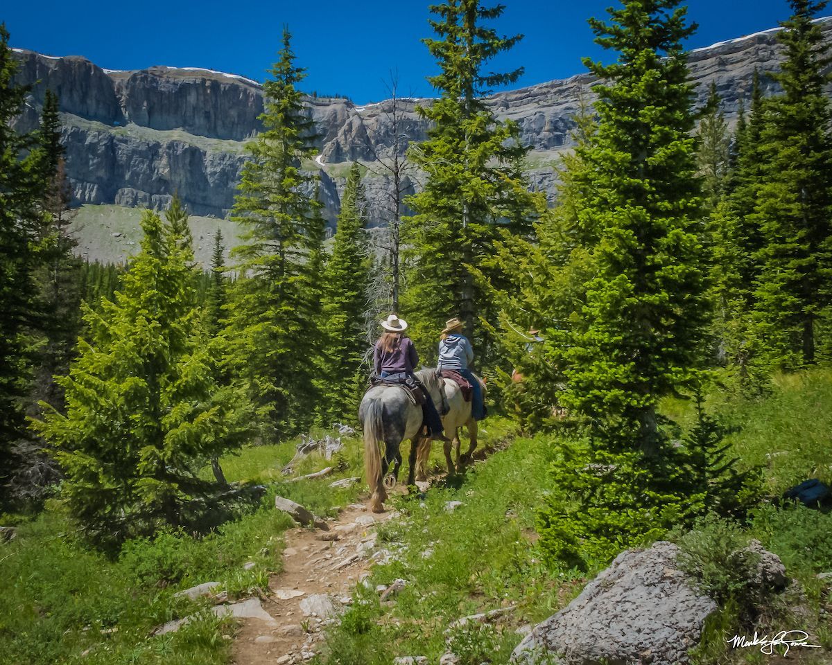 Two people are riding horses down a trail in the woods.