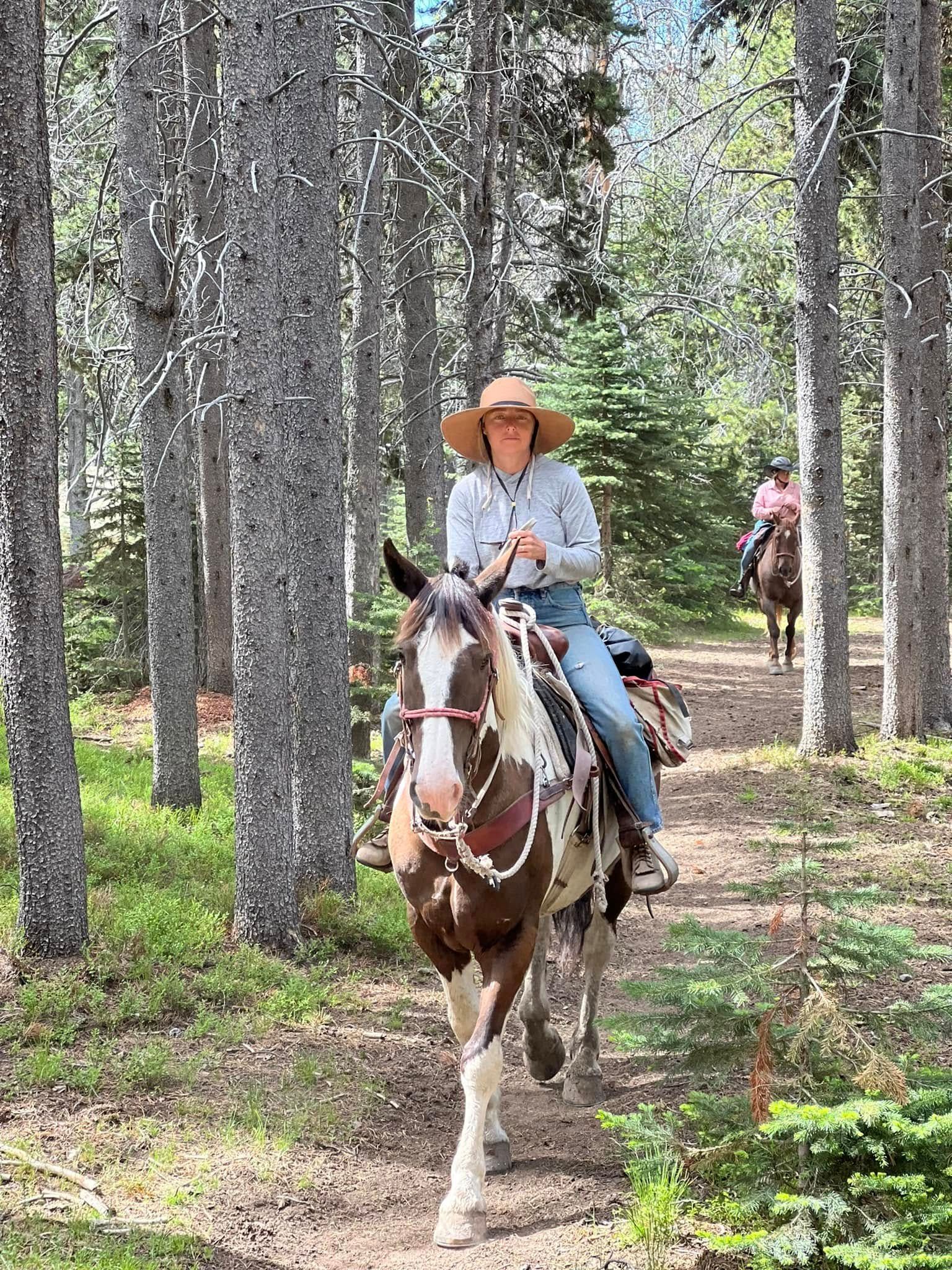 A woman is riding a horse on a trail in the woods.