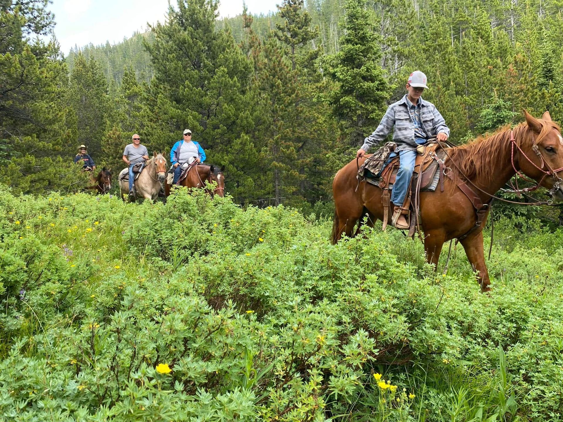 A group of people are riding horses through a grassy field.