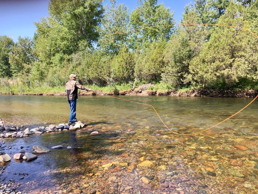 A man is fishing in a river with trees in the background.