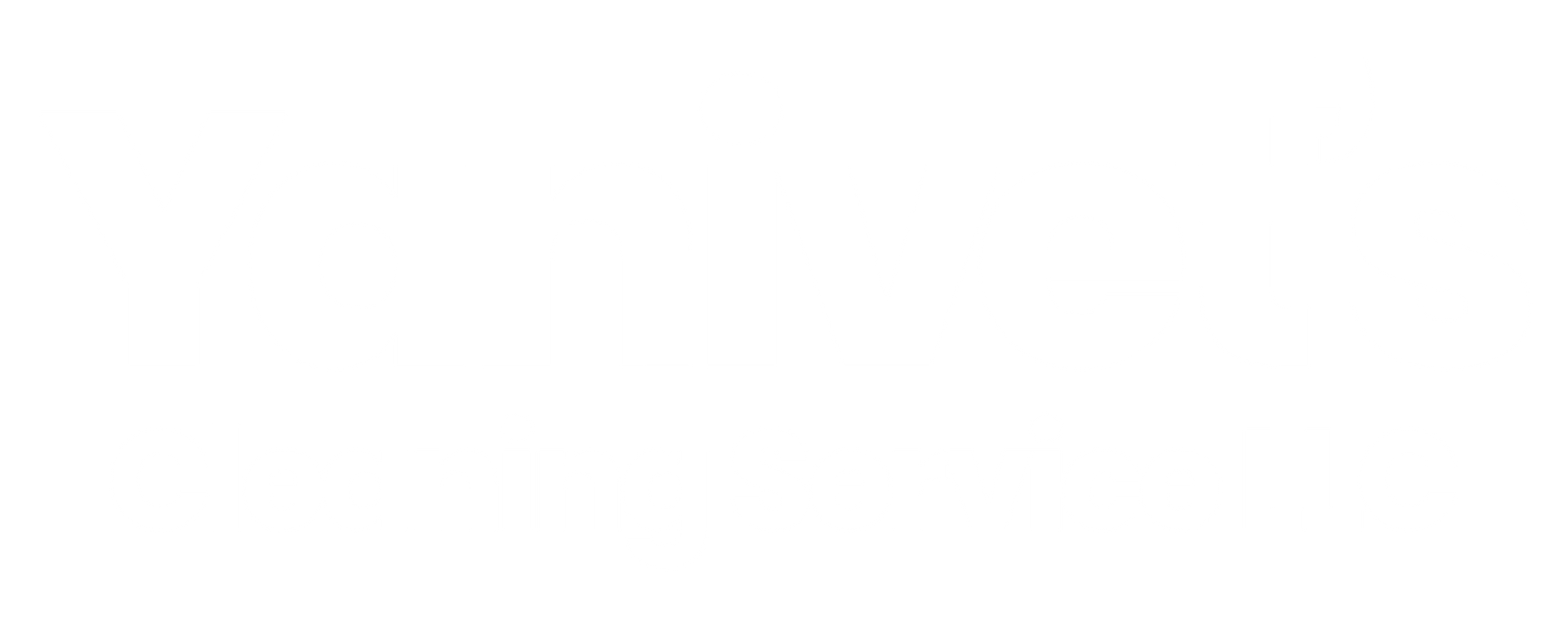 Yanivet's Cleaning Service LLC Yanivet's Cleaning Service LLC
