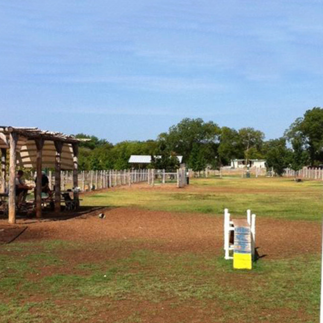 Take your dogs out to the Depot in Round Rock for a leash free time.
