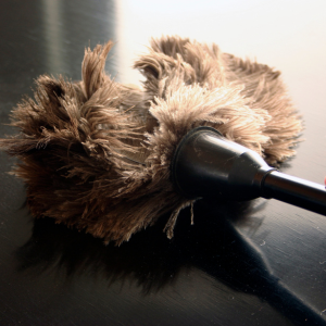 Dust regularly for allergies