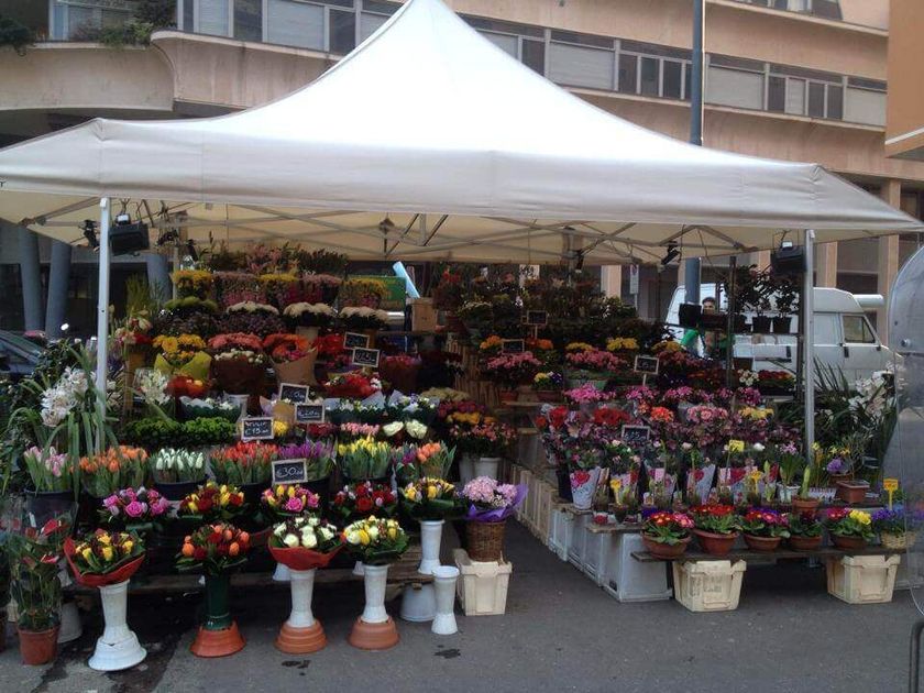 rivendita fiori e piante