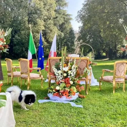 mazzo di fiori freschi