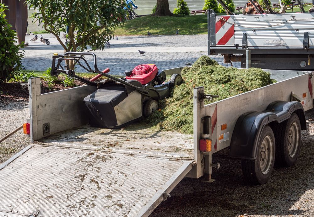 Lawnmower and Cut Grass in a Trailer — Towform Trailers in Brocklehurst, NSW