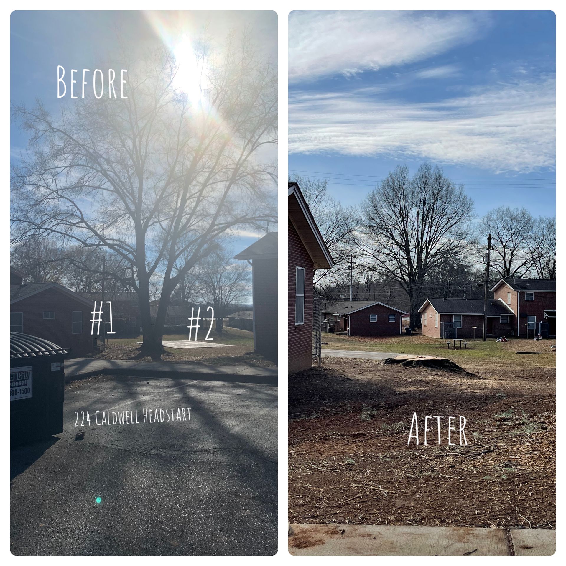 Before and after photos of a yard; a large tree has been removed. Sunny day.