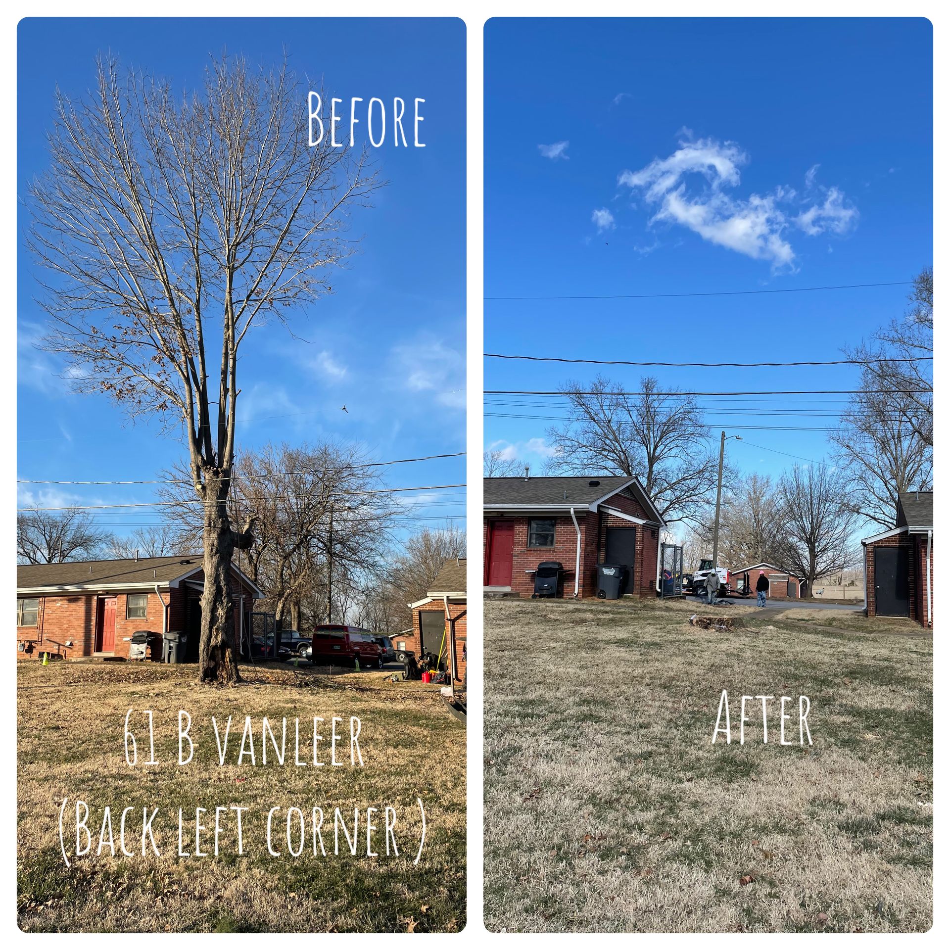 Before and after comparison. A bare tree has been removed from a yard. Blue sky, red brick buildings.
