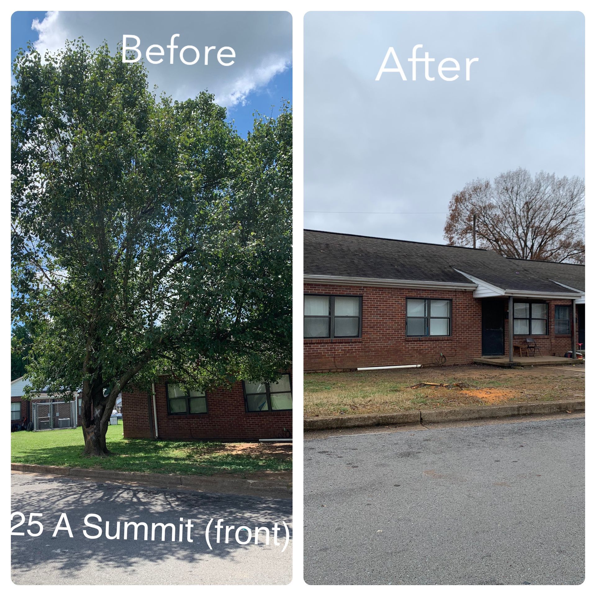 Before and after photos of a brick building. A large tree is removed, clearing the roof.