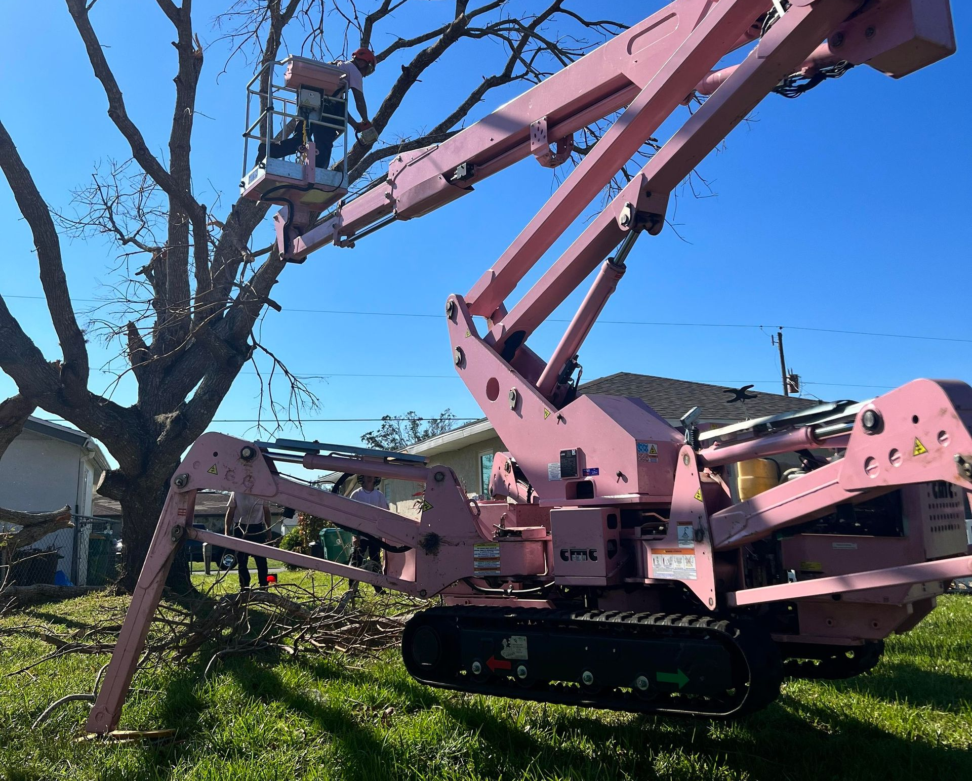 Pink spider-like machine on tracks, with long legs, on a leaf-covered path near trees.