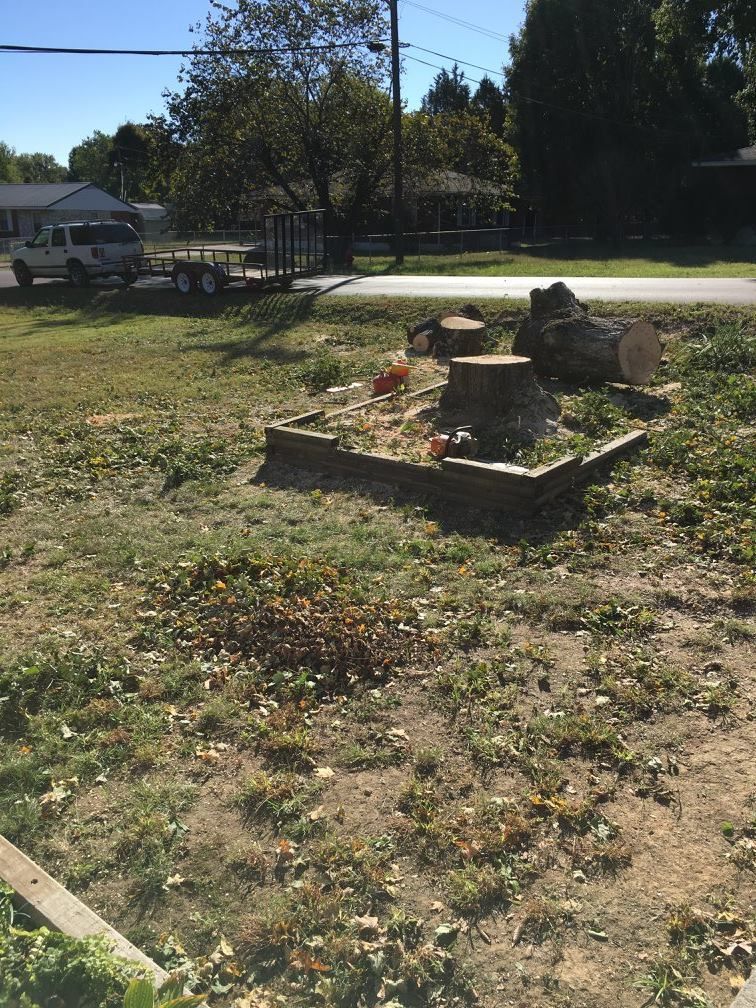 A yard with a tree stump, some wood, and a small truck parked in the background.