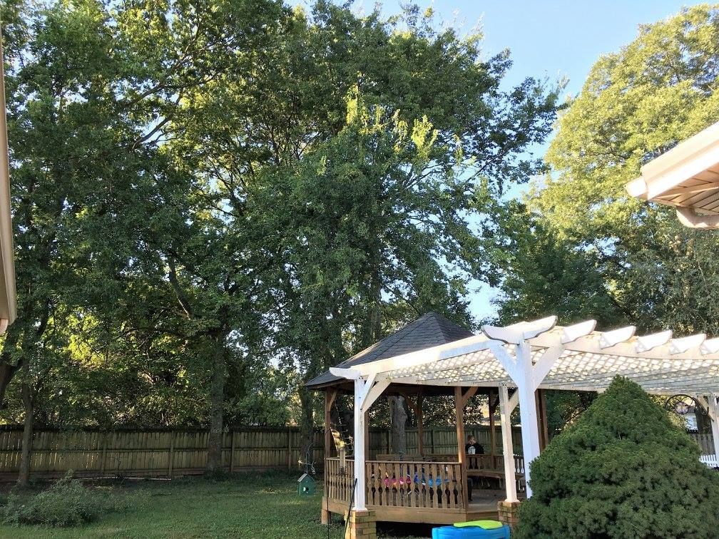 Backyard scene with a pergola, green trees, and wooden fence.