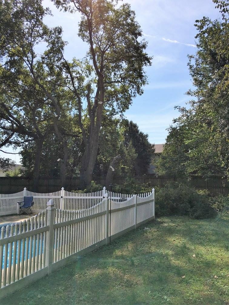 White picket fence surrounds a pool, with trees and grass in a backyard on a sunny day.