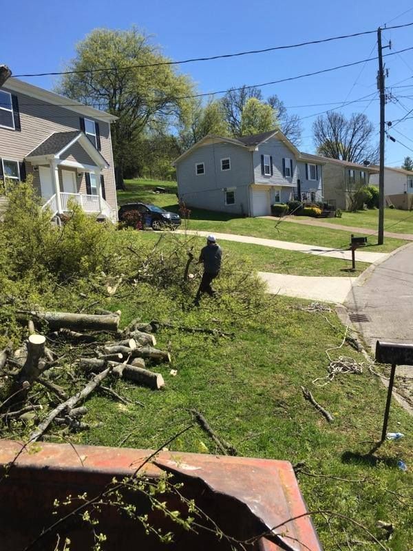 Person cutting fallen tree trunk with an orange chainsaw on a residential lawn.