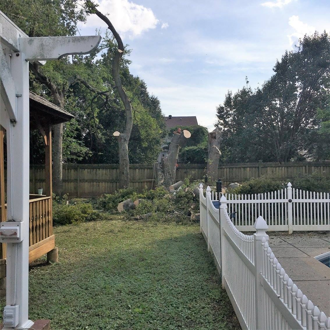 Backyard scene: Tree being trimmed near a white fence and a gazebo, with grass and a pool visible.