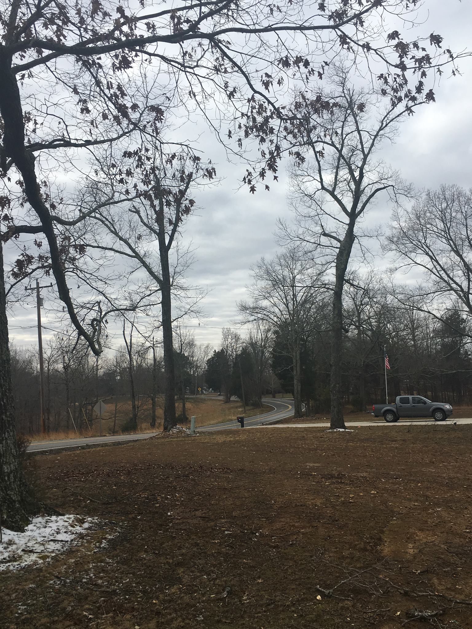 Barren trees line a dirt road under a cloudy sky. A pickup truck drives past in the distance.