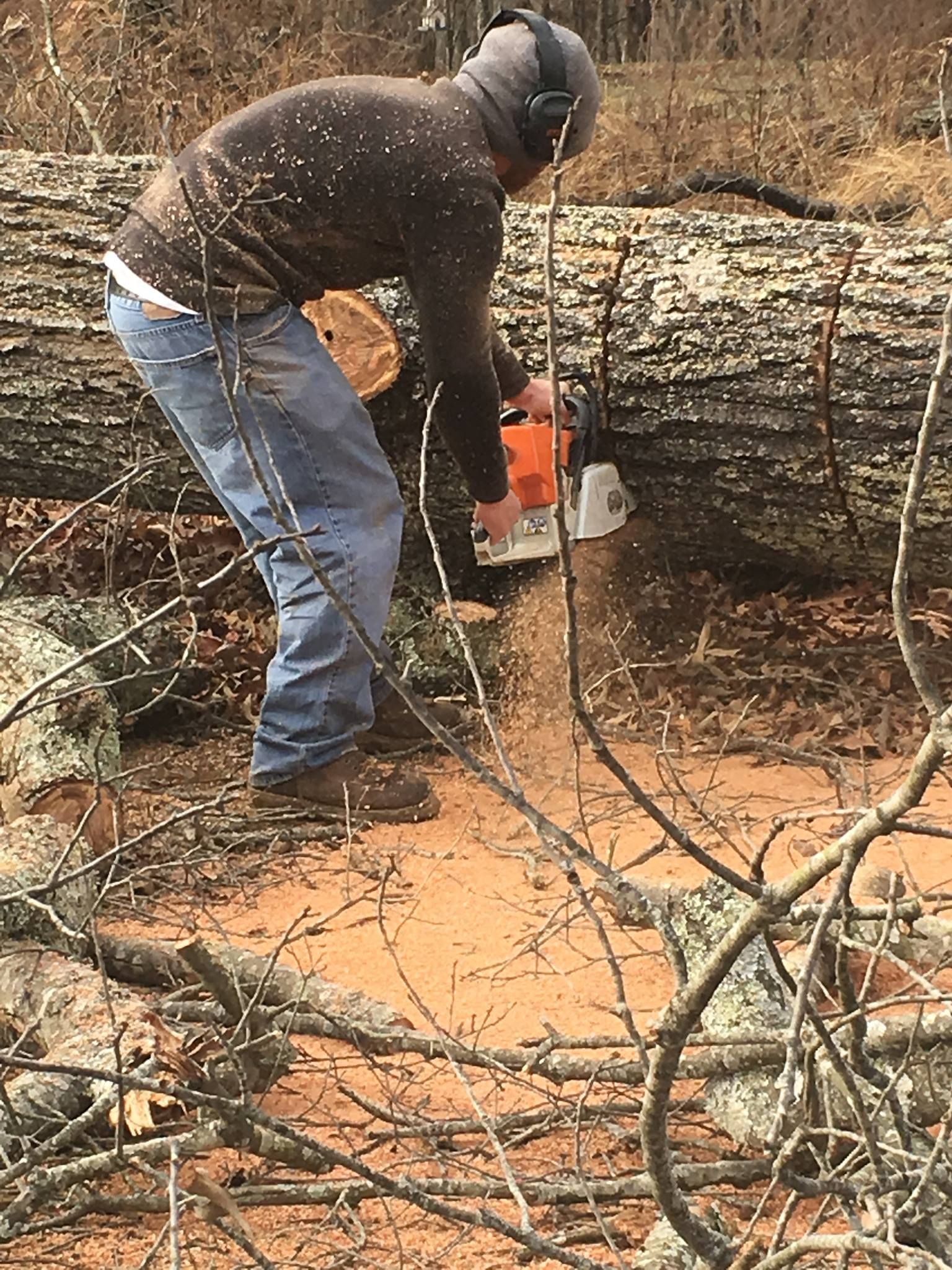 A person wearing safety gear cutting a fallen log with a chainsaw in a wooded area.
