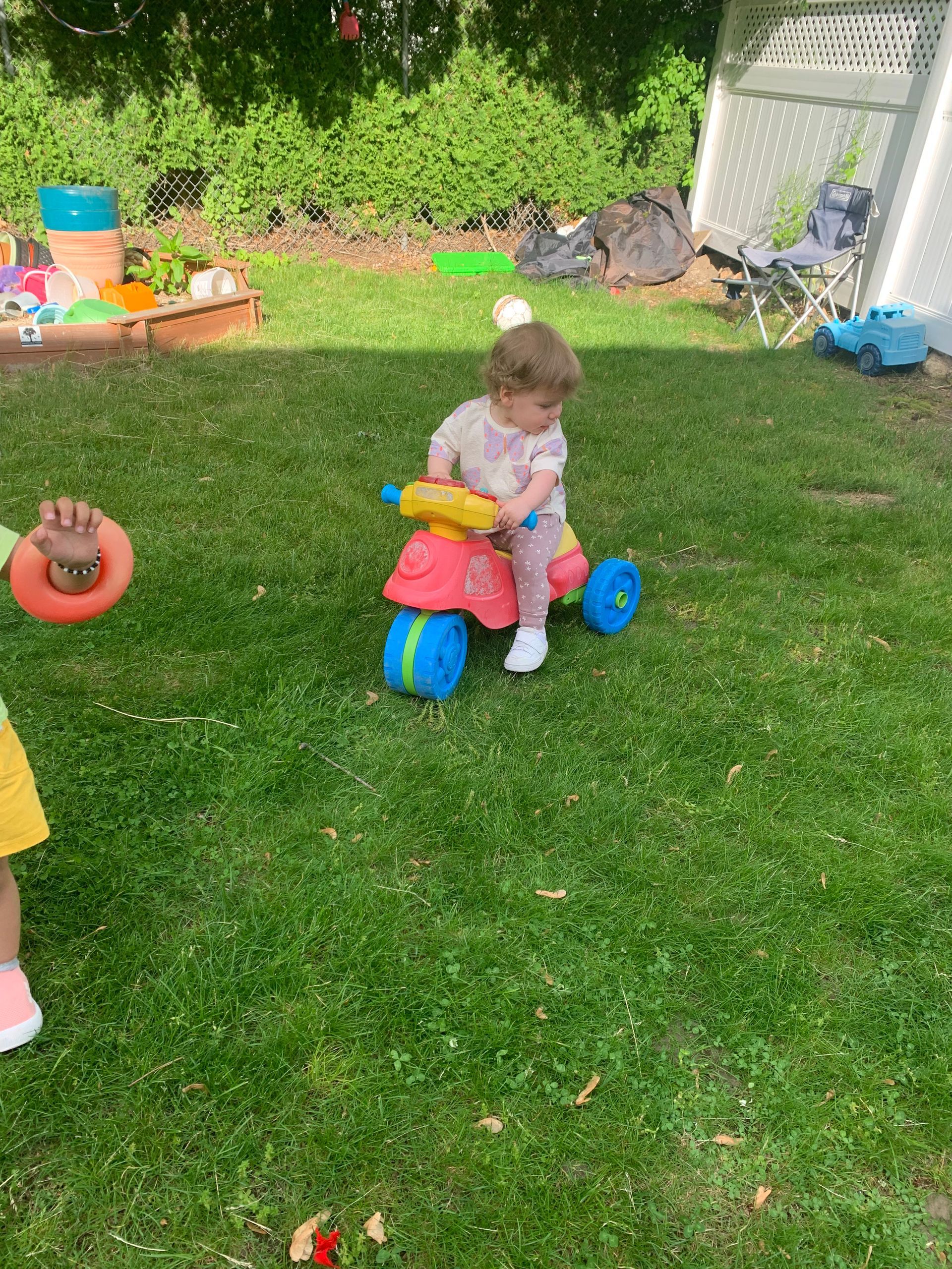 A baby is sitting on a toy motorcycle in the grass.