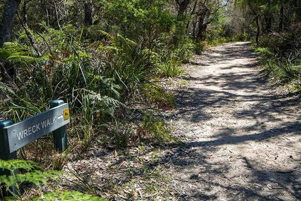 A Sign on the Side of a Dirt Road in the Woods — A. Webber Building in Currarong, NSW