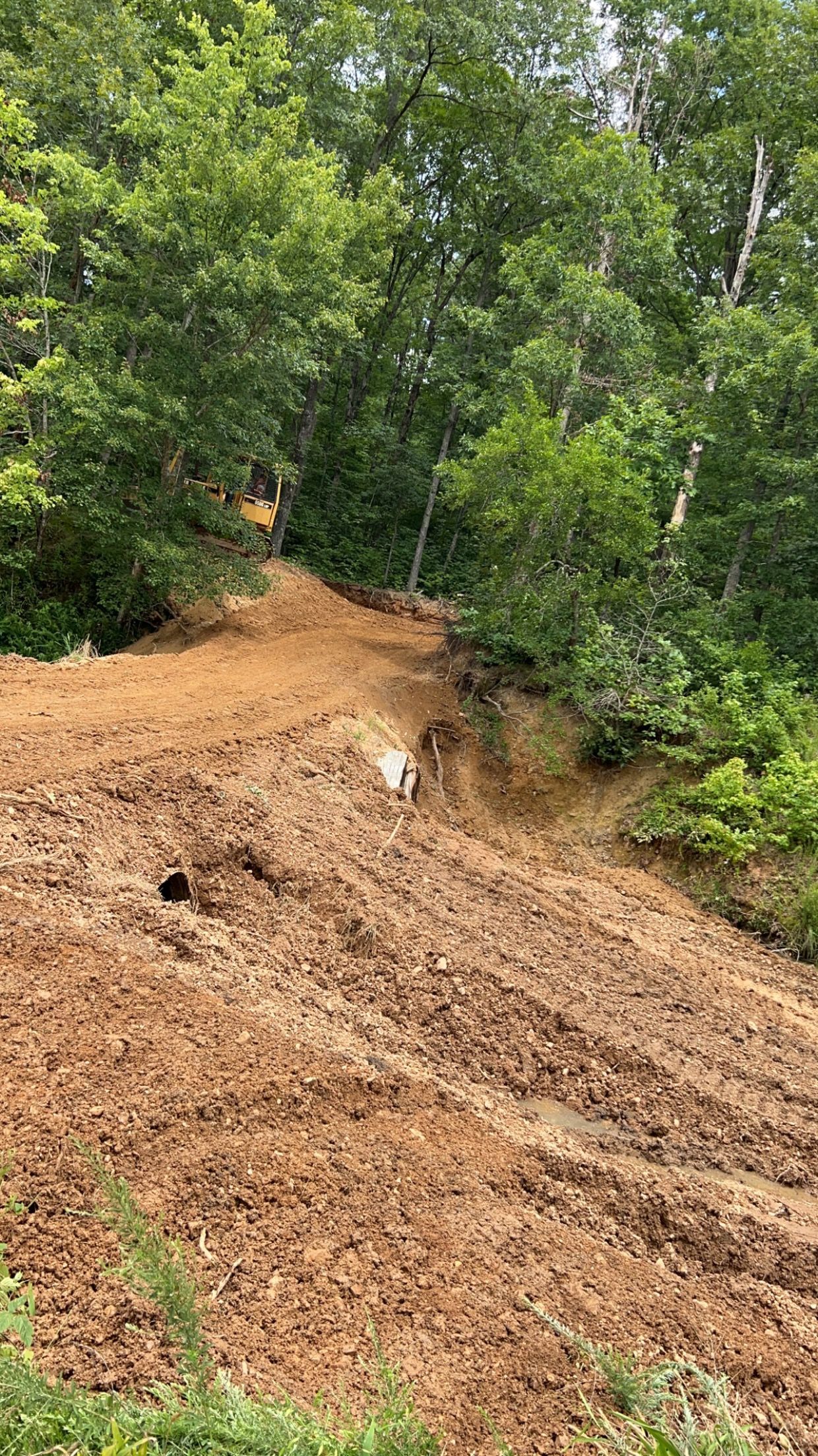 A large pile of dirt is sitting on top of a hill in the middle of a forest.