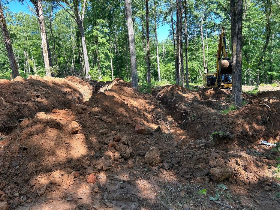 A large pile of dirt is sitting in the middle of a forest.