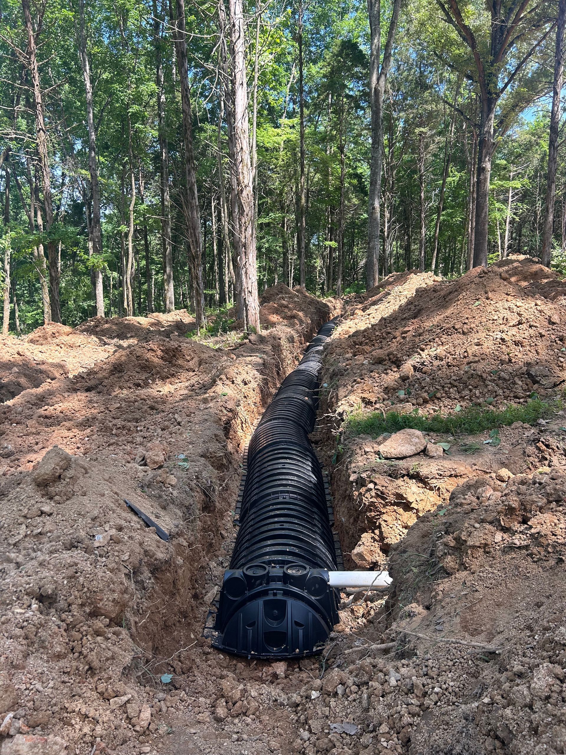 A septic tank is being installed in the dirt in the woods.