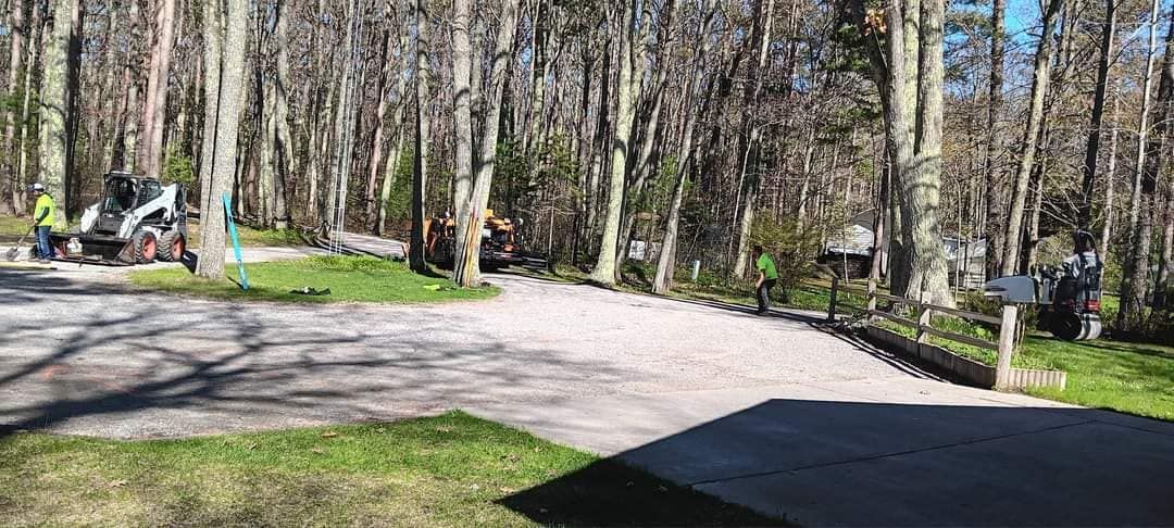 A dirt road going through a forest with trees on both sides.