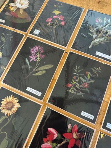 כרטיסי ברכה