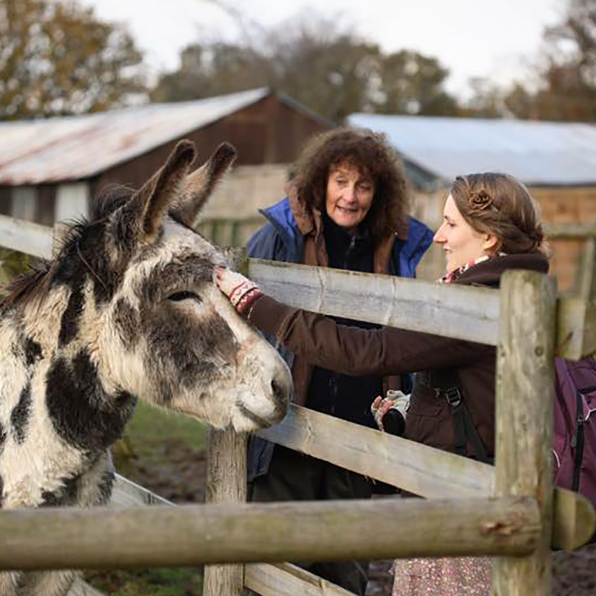 Hillfields Animal Sanctuary logo