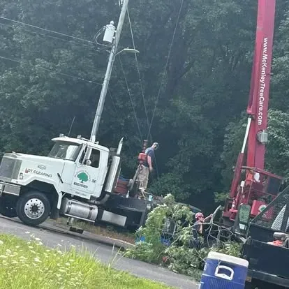 McKenley Tree Care crew removing tree in Salisbury NC yard