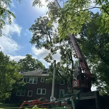 McKenley Tree Care professional arborist team in Salisbury NC