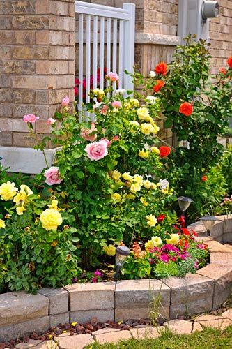 Colorful Flowers — Waterproofing Solutions in Simpsonville, KY