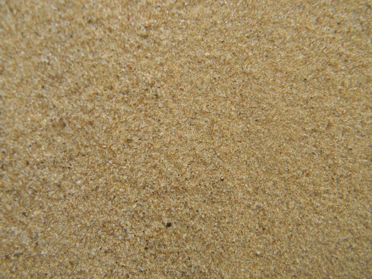 Un primer plano de un montón de arena en una playa.